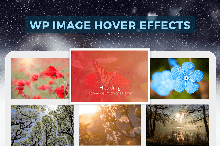 How to Add Visual Appeal to WordPress with Hover Effect - Flipper Code How to Add Visual Appeal to WordPress with Hover Effect - Flipper Code