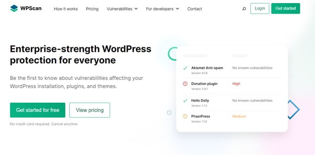 wp scan website